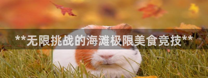 意昂体育3招商电话地址：**无限挑战的海滩极限美食竞