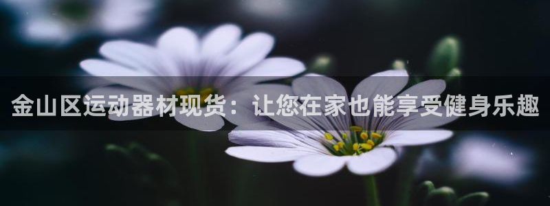 意昂3官网：金山区运动器材现货：让您在家也能享受健身