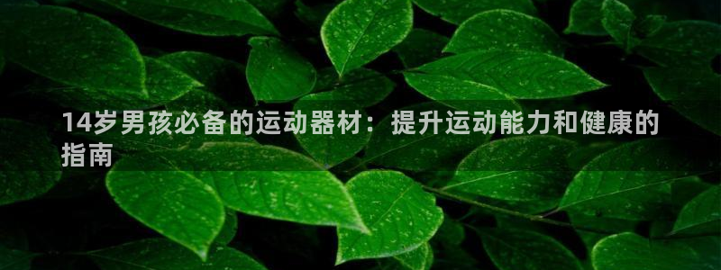 意昂3科技：14岁男孩必备的运动器材：提升运动能力和