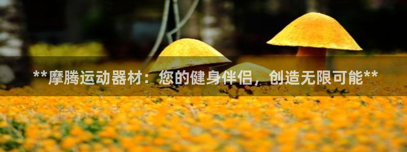 意昂体育3平台假的吗是真的吗： **摩腾运动器材：您