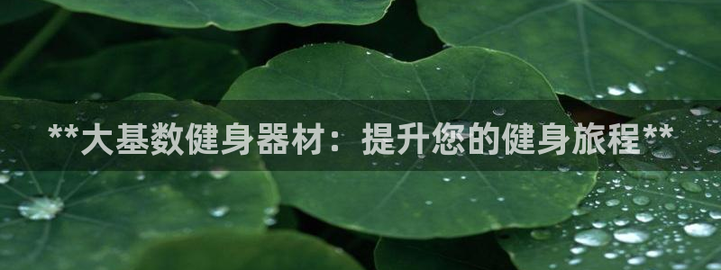 意昂体育3招商电话号码查询是多少：**大基数健身器材