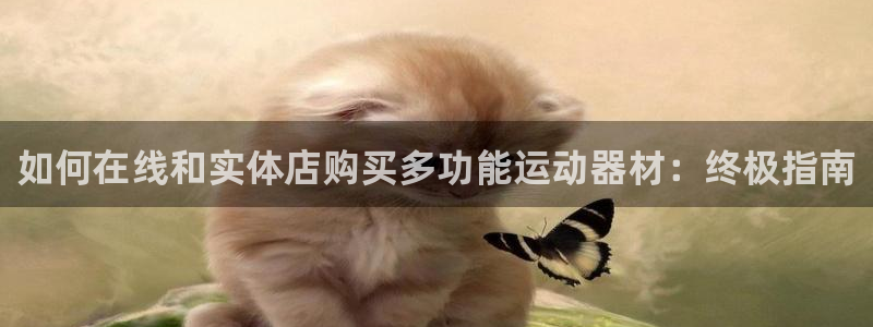 意昂体育3招商电话号码查询：如何在线和实体店购买多功