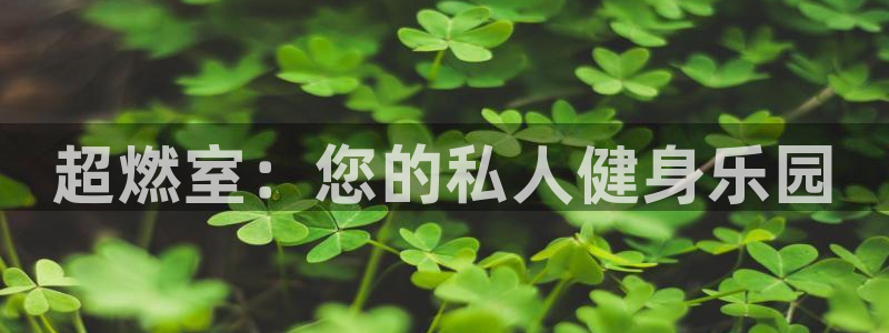 意昂体育3