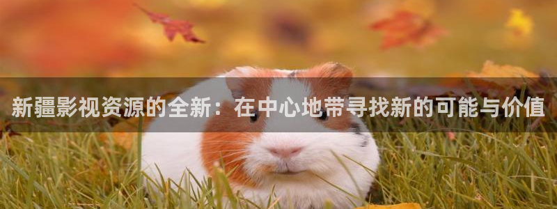 汤姆在线视频影院