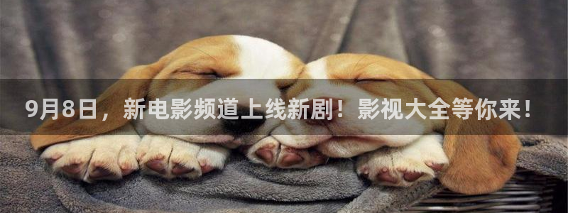 私人汤姆影院