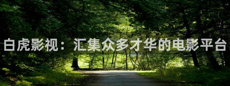 汤姆电影免费观看高清版