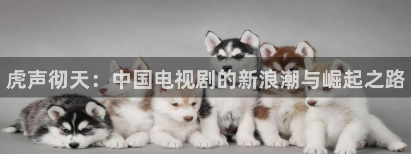 汤姆影院avtom在线播放